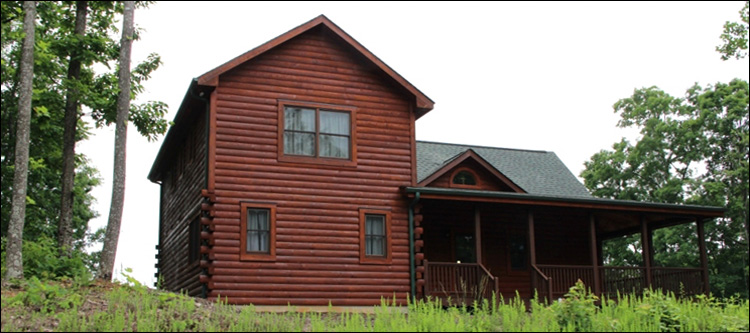 Professional Log Home Borate Application  Mount Jackson, Virginia